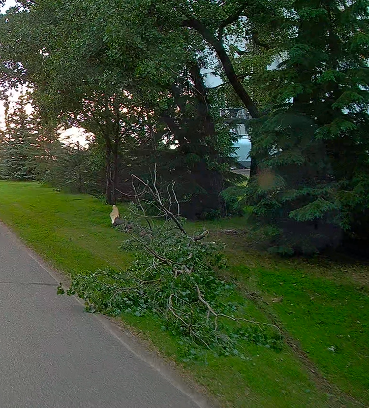 Evidence of the storm